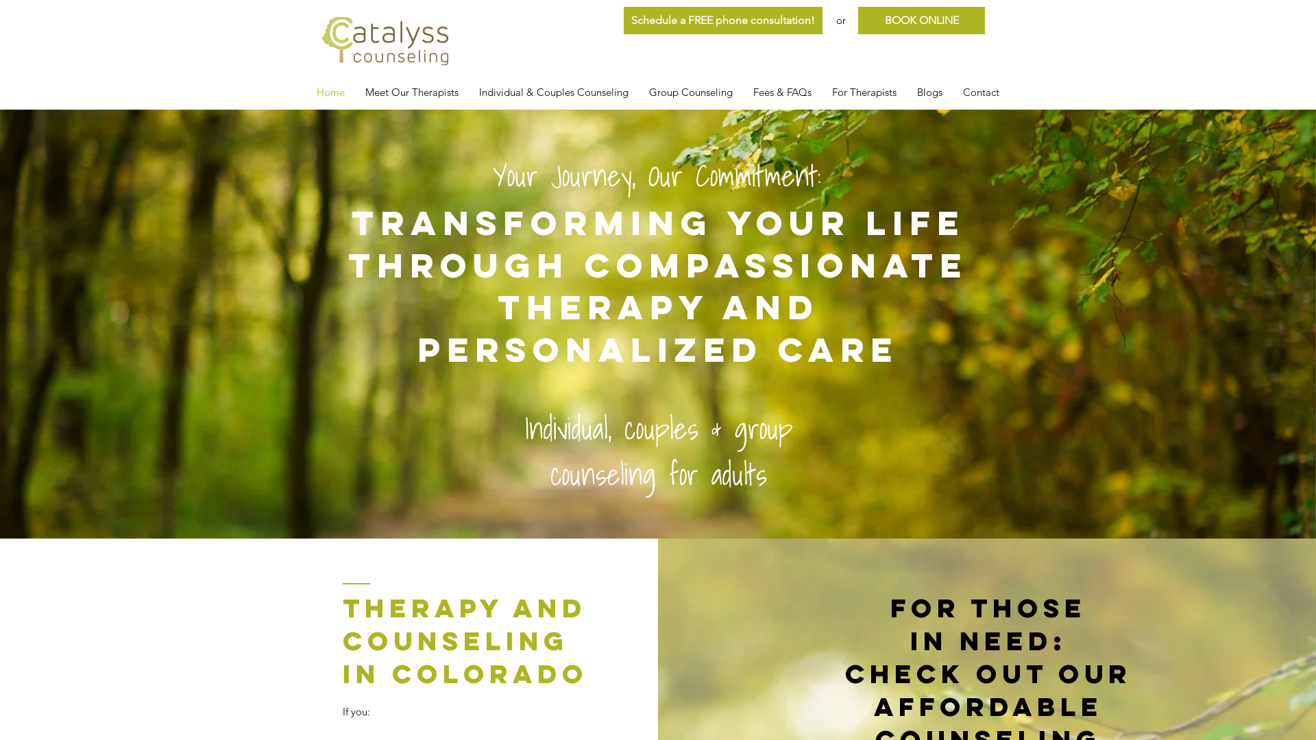 Catalyss Counseling